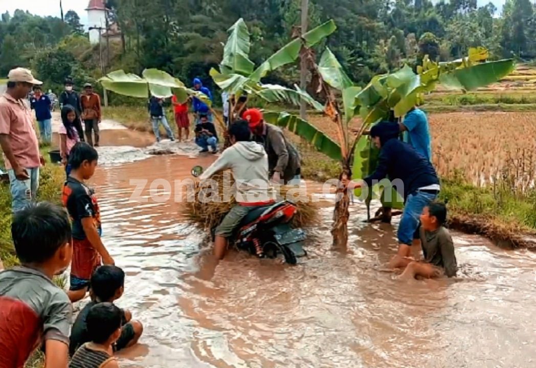 Protes Jalan Rusak Warga Batualu Selatan Tanam Pohon Pisang Dan Tebar