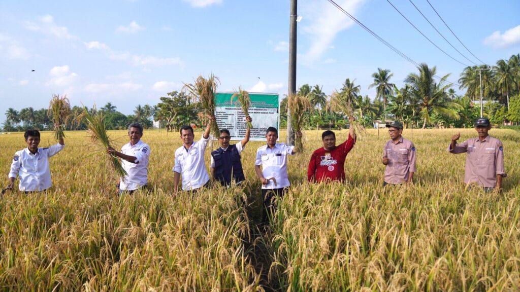 Bantuan Mandiri Benih Gubernur Sulsel Sukses Tingkatkan Produksi Petani