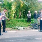 Kecelakaan Poros Makale Rantepao Kembali Makan Korban, Satu Orang Meninggal di Tempat