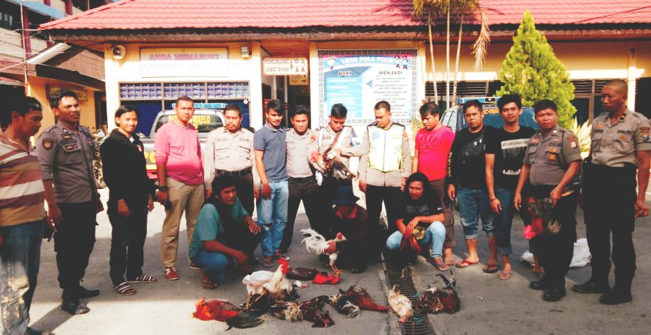 Grebek Judi Sabung Ayam, Polisi Amankan Tiga Pelaku