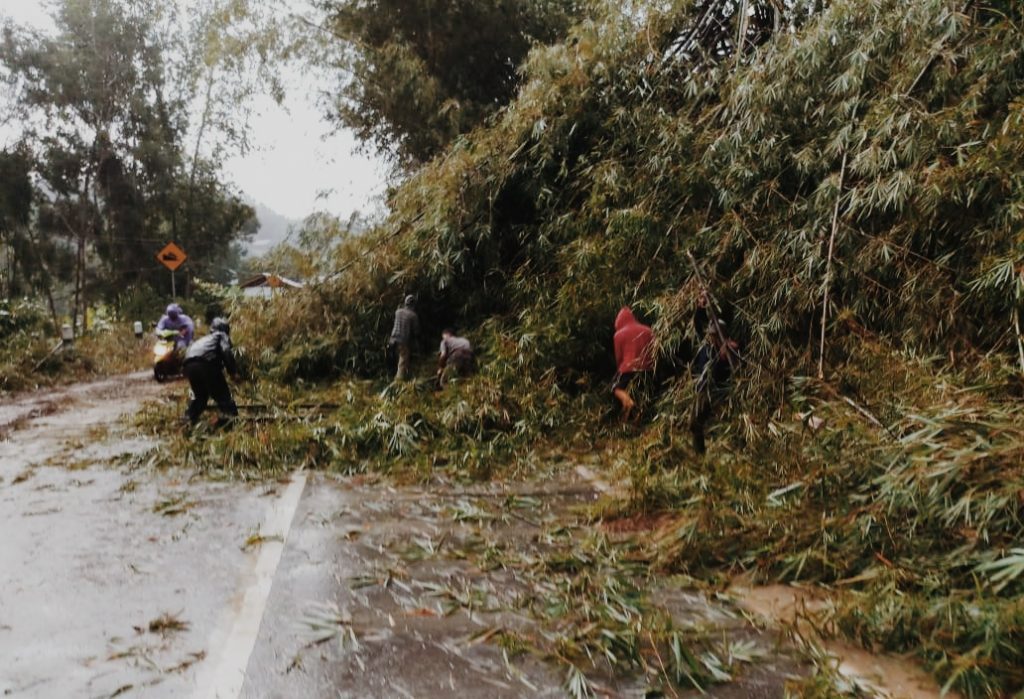 Sempat Bikin Macet, Polisi Turun Tangan Bersihkan Pohon Bambu Yang Tutupi Jalan