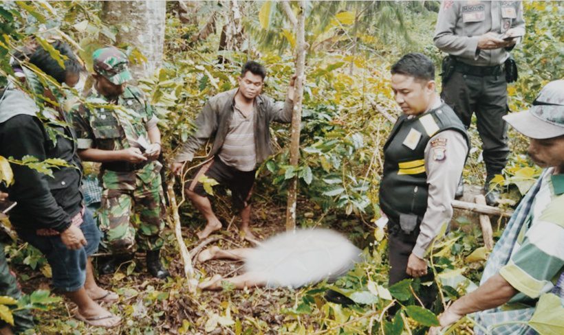 Ingin Menjerat Babi Hutan, Pasutri di Toraja Tewas Tersengat Listrik