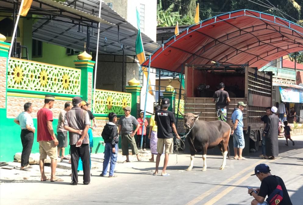 Ribuan Umat Muslim Laksanakan Shalat Id Adha di Makale 3 Ribuan Umat Muslim Laksanakan Shalat Id Adha di Makale