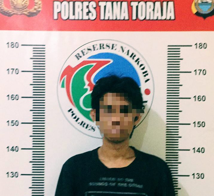 Sat Narkoba Polres Tana Toraja Bekuk Dua Pengedar Sabu