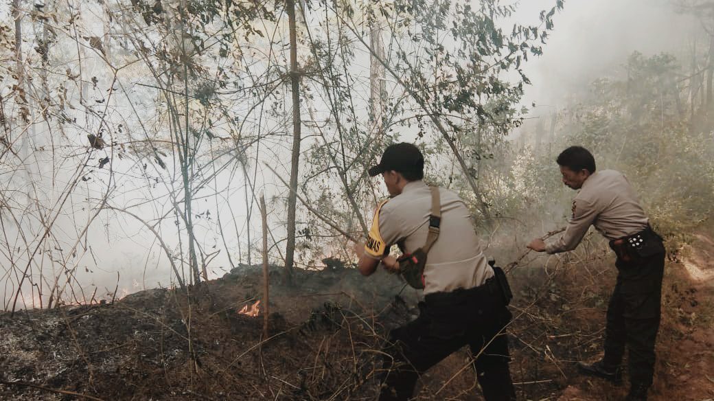 Tujuh Hektar Hutan Produksi di Tando Tando Kembali Terbakar 1 Tujuh Hektar Hutan Produksi di Tando Tando Kembali Terbakar