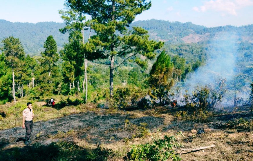 1 Hektar Hutan dan Lahan Terbakar, Api Diduga Berawal Dari Puntung Rokok