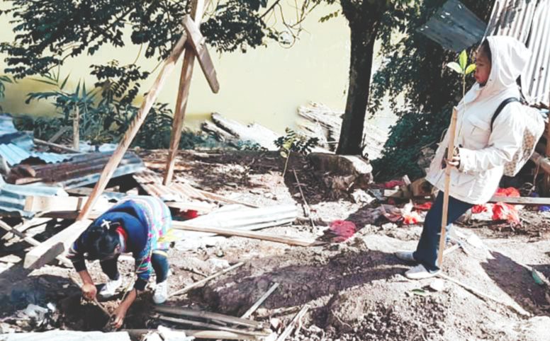 Distan Toraja Utara Lakukan Reboisasi Penghijauan Bantaran Sungai Sa’dan