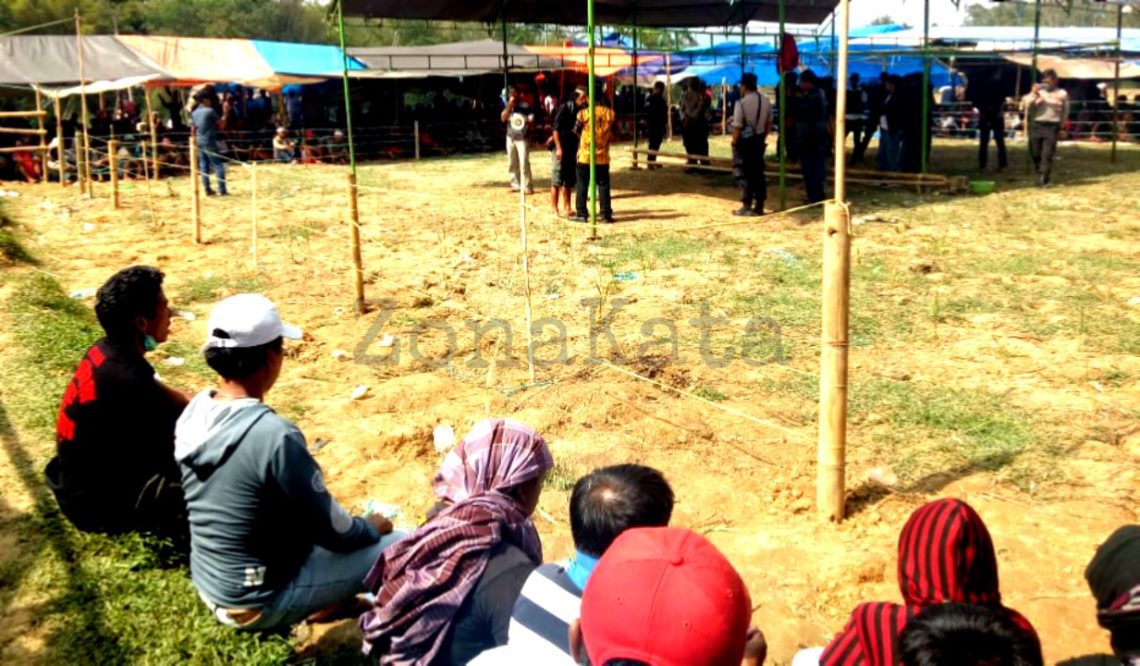 Berdalih Punya Ijin, Polisi Bubarkan Judi Sabung Ayam di Tondon Siba’ta