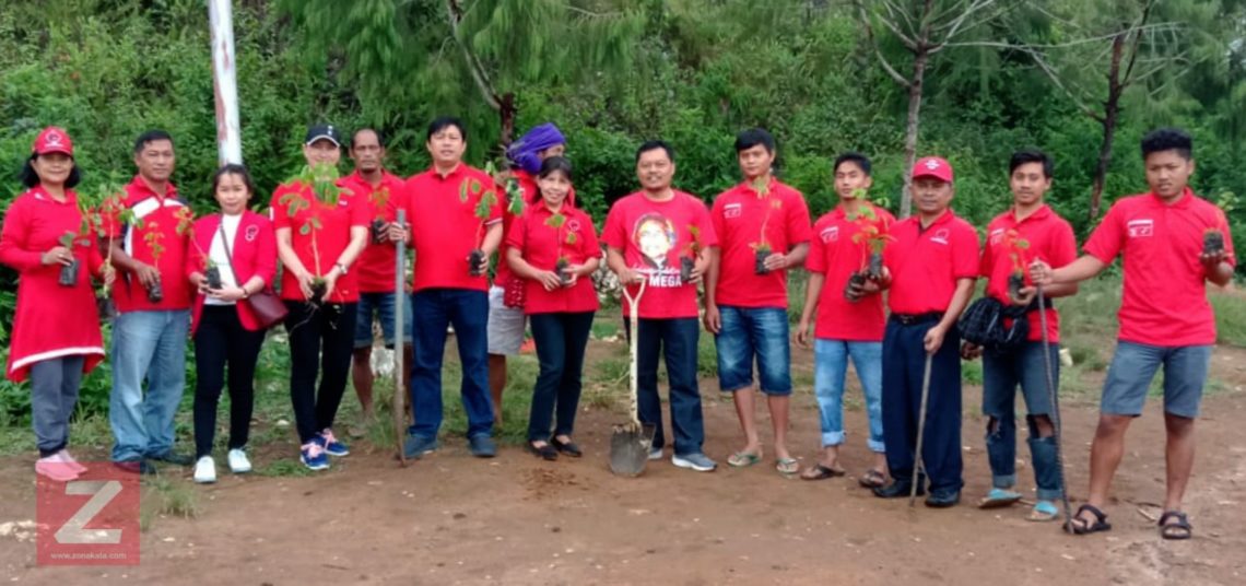 Peduli Lingkungan, PDI Perjuangan Tana Toraja Tanam Ribuan Pohon 4 Peduli Lingkungan, PDI Perjuangan Tana Toraja Tanam Ribuan Pohon