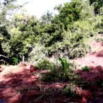 Sejumlah Rumah di Kelurahan Bokin Diterjang Material Longsor