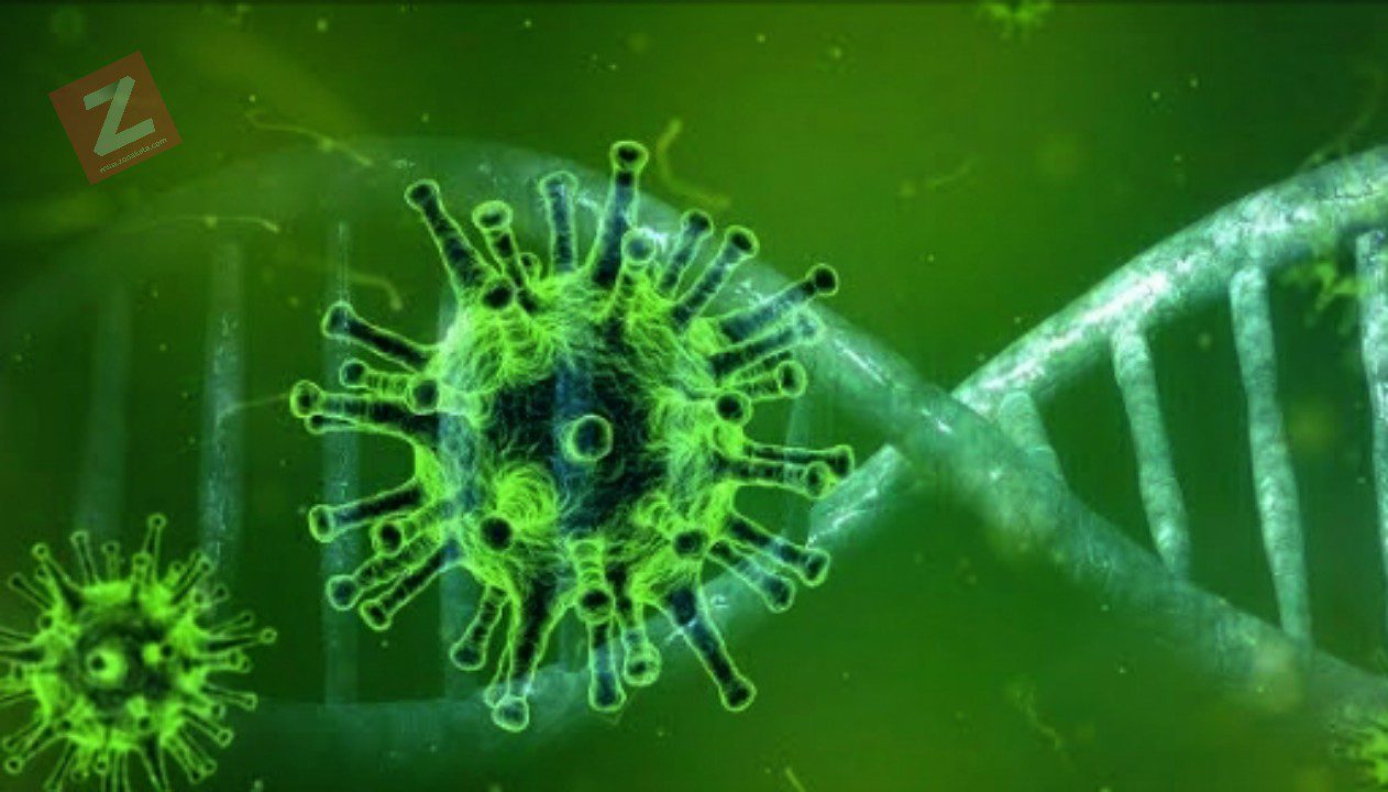 Jumlah Terpapar Virus Corona Tembus 1.046 Kasus, Sulsel Bertambah 2 Kasus