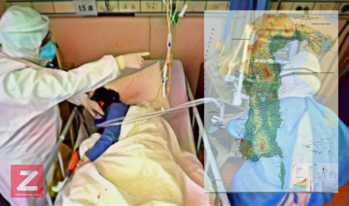Pasien Positif Corona di Sulsel Terus Bertambah Kini Sudah 240 Kasus, 42 Diantaranya Sembuh