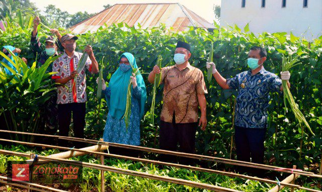 Panen Perdana Sayuran, Kadis Asman Pacu Warga Manfaatkan Pekarangan Rumah