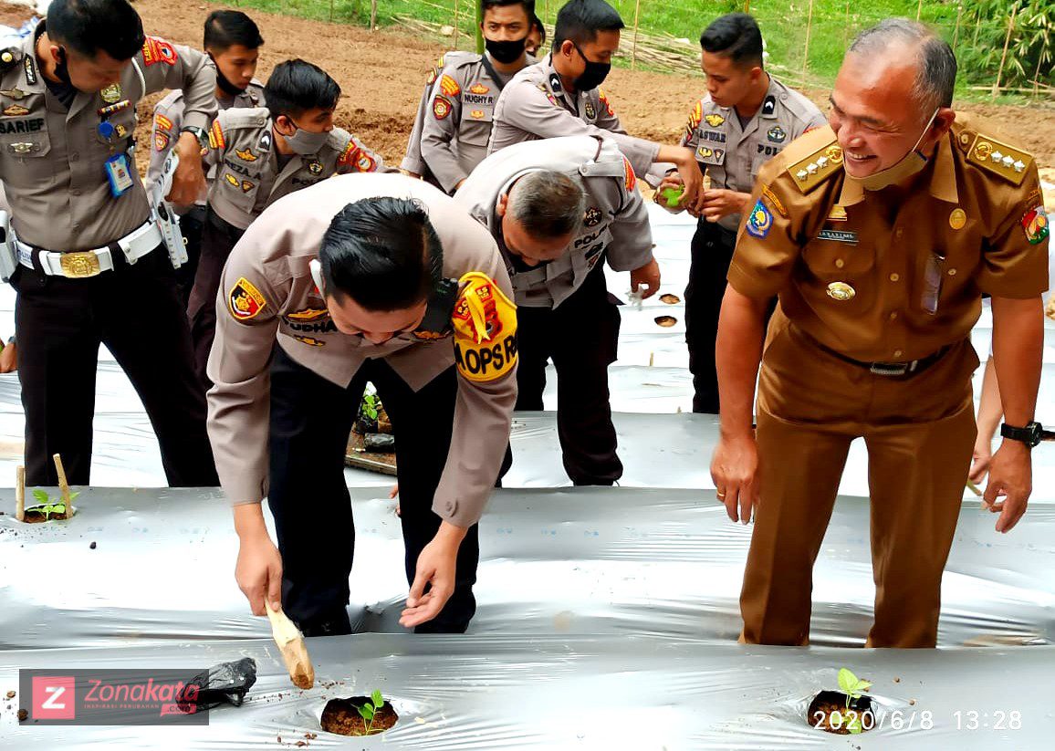 Ditengah Pandemi Covid-19, Polres Toraja Utara Tanam 5000 Bibit Kacang Tanah dan Cabai