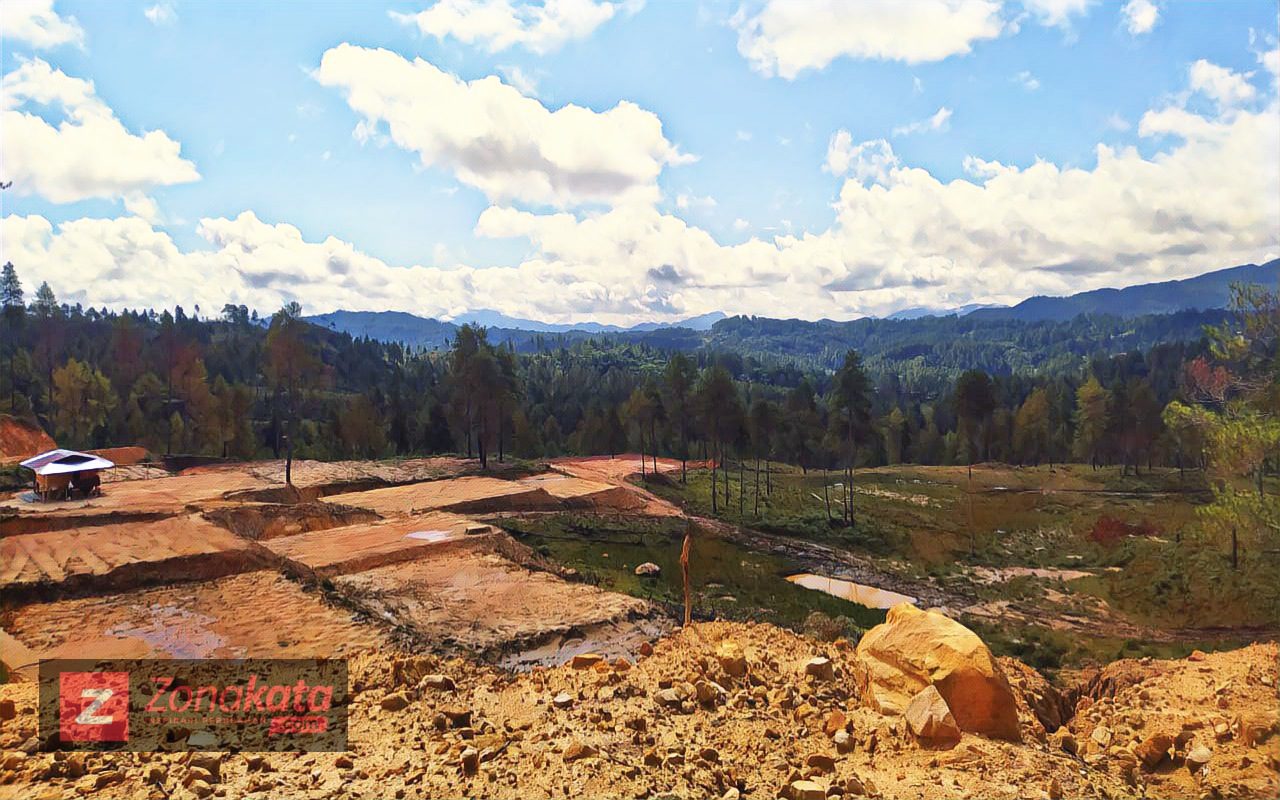 Hutan Mapongka Rusak, Bandara Toraja Terancam