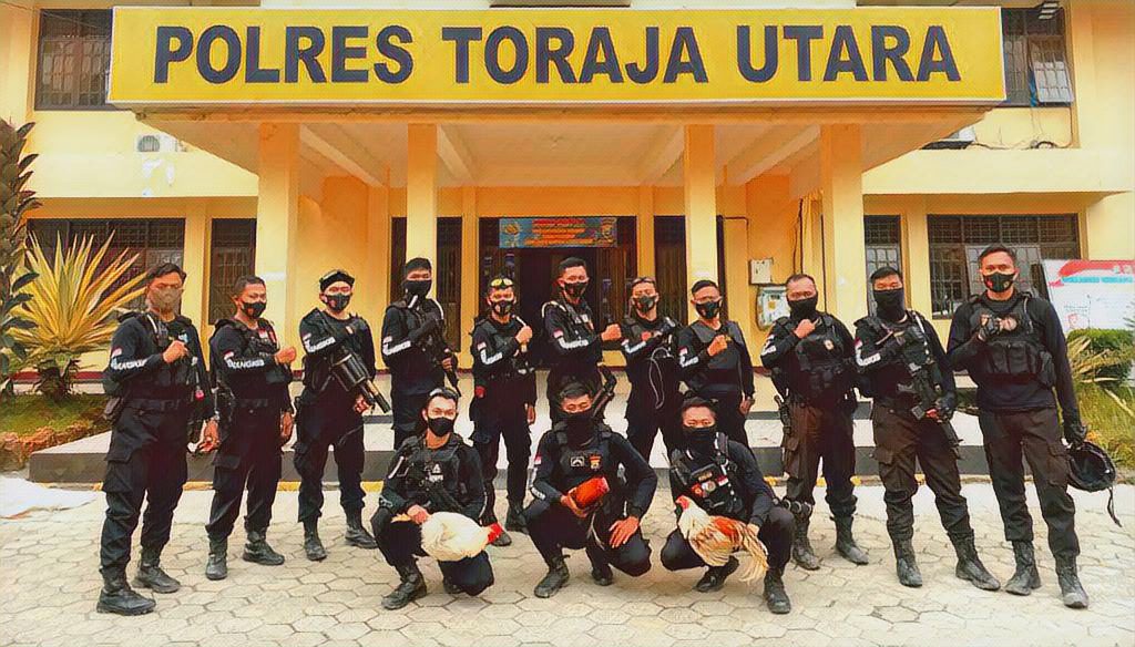 Polisi Gerebek Judi Sabung Ayam di Sa'dan, Toraja Utara 2 Polisi Gerebek Judi Sabung Ayam di Sa'dan, Toraja Utara