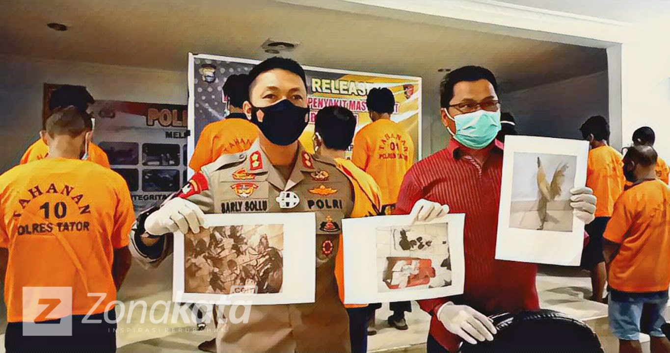 12 Tersangka Judi Sabung Ayam Di Tana Toraja, Terancam Hukuman Penjara 10 Tahun