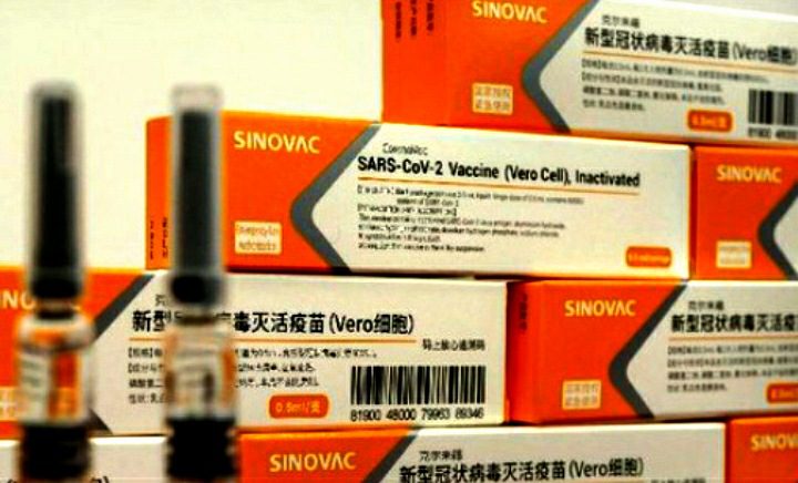 Dinkes Sulsel Mulai Distribusikan Vaksin Covid-19 Sinovac