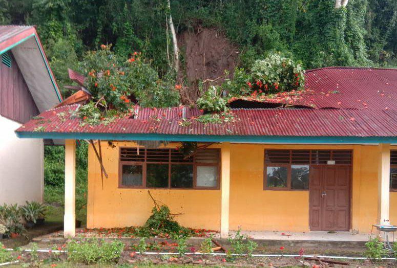 Pohon Tumbang Timpa Bangunan Sekolah di Tana Toraja