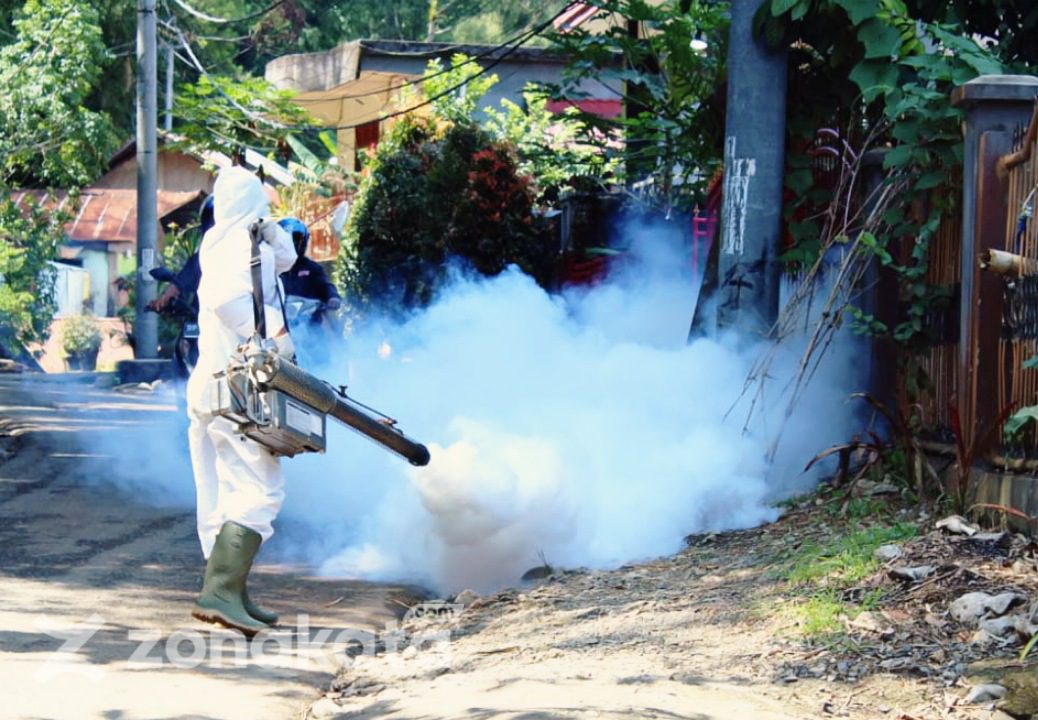 Kasus Meningkat, Dinkes Toraja Utara Lakukan Fogging di Titik-titik Berisiko DBD