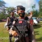 Picu Kerumunan Massa, Polisi Bubarkan Adu Kerbau di Malimbong Balepe
