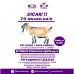 Jelang Idul Adha, Pengurus RQV Cabang Toraja Cari 70 Orang Baik Sedekah Qurban