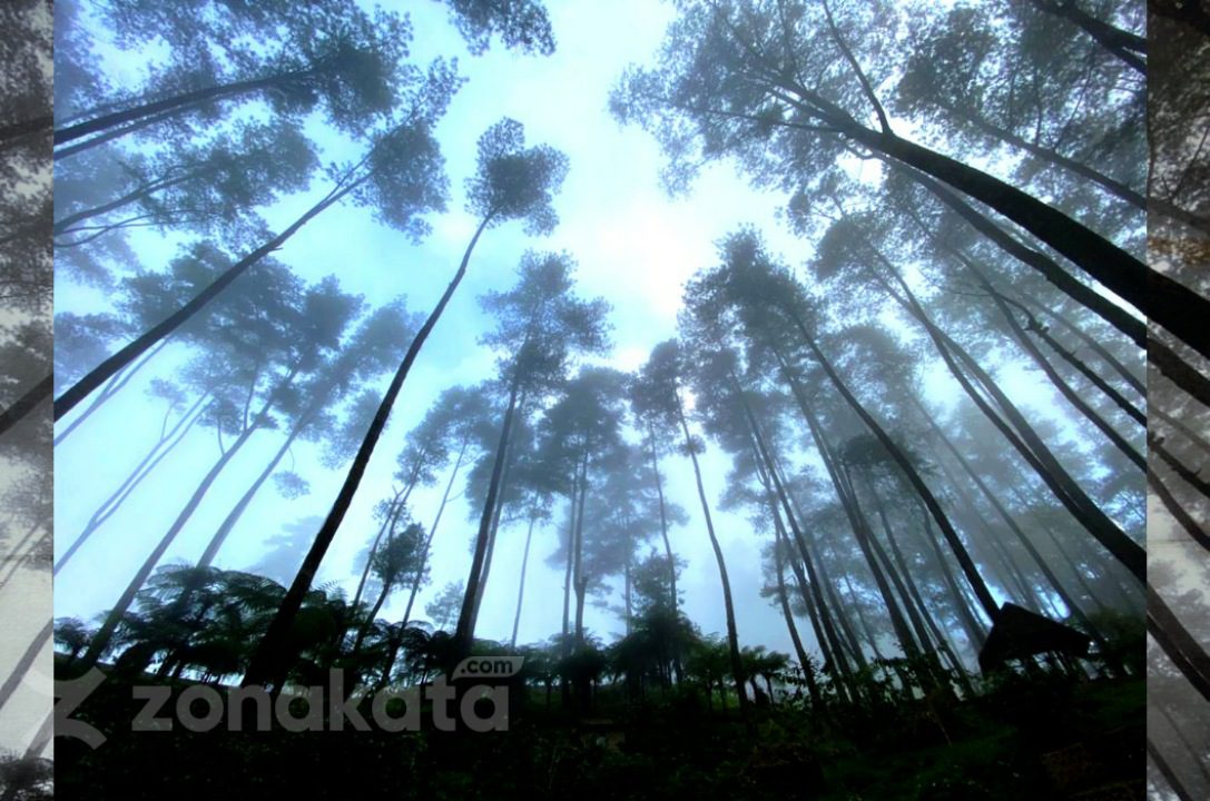 PPKM Diberlakukan, Objek Wisata Pango-Pango Ditutup Hingga 21 Juli