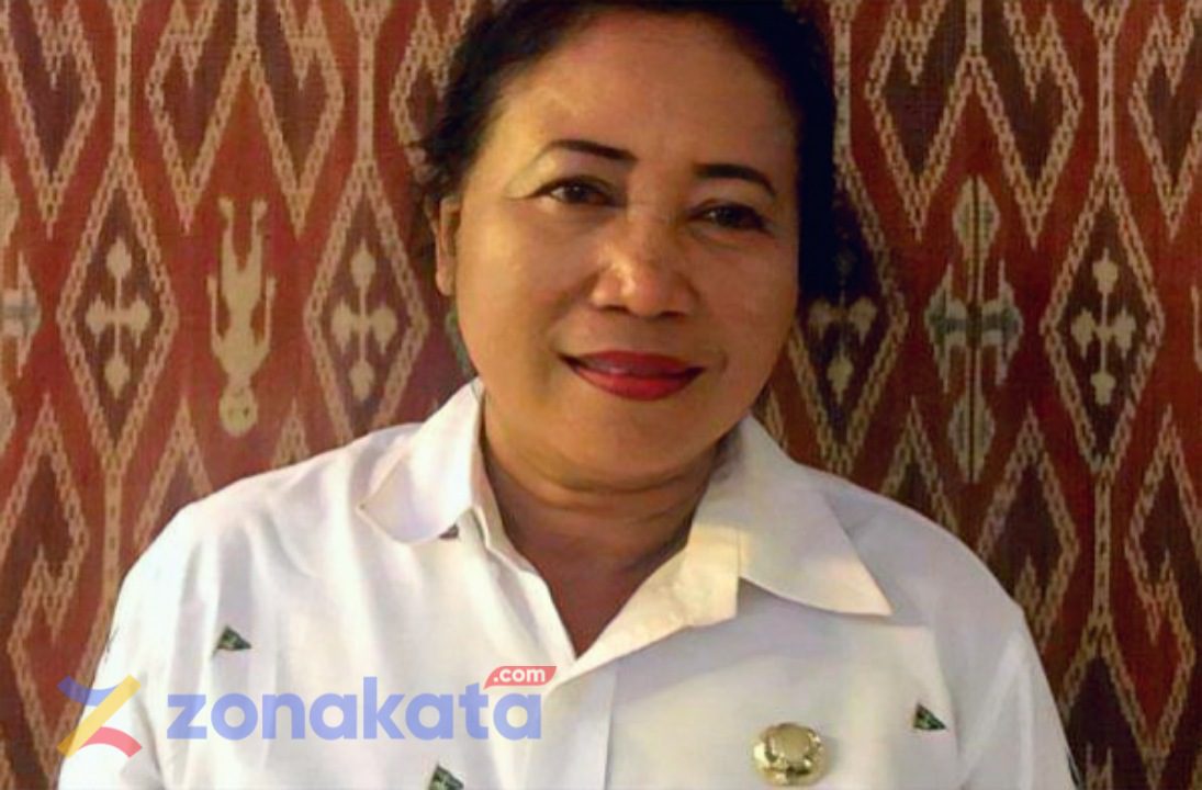 Telah Telan Korban Jiwa, Dinkes Toraja Utara Harap Warga Jaga Kebersihan