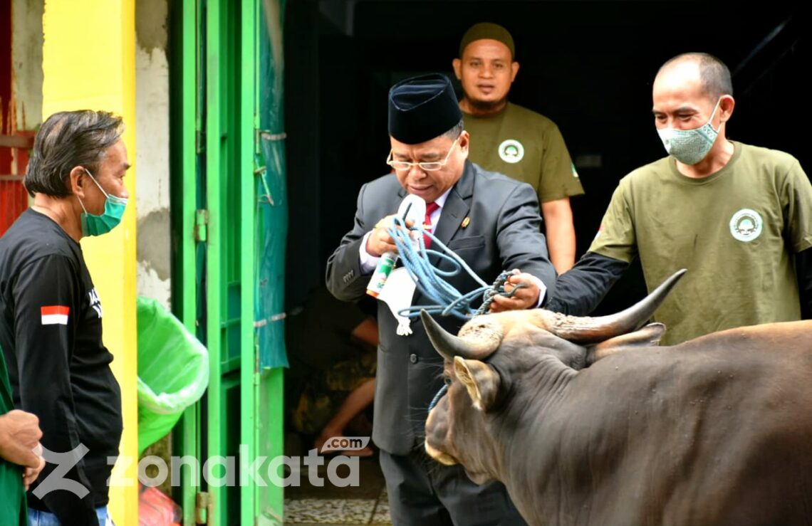 Idul Adha 1442 H, Pemkab Toraja Utara Sumbang 1 Sapi dan 6 Kambing 1 Idul Adha 1442 H, Pemkab Toraja Utara Sumbang 1 Sapi dan 6 Kambing