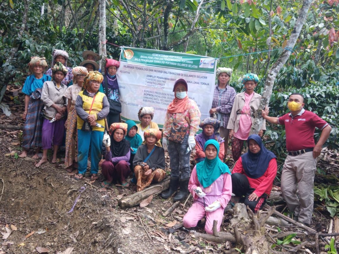 Peningkatan Produksi dan Mutu Kopi Toraja Melalui Inovasi Teknologi