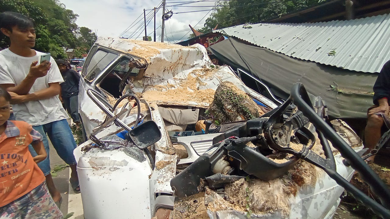 Kronologi Pohon Tumbang Menimpa Mobil dan Menewaskan 1 Penumpang