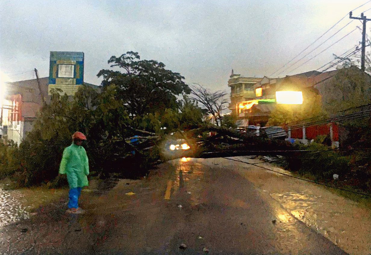 Hujan Deras, Pohon Tumbang Tutup Jalan Menuju Kantor Bupati Toraja Utara