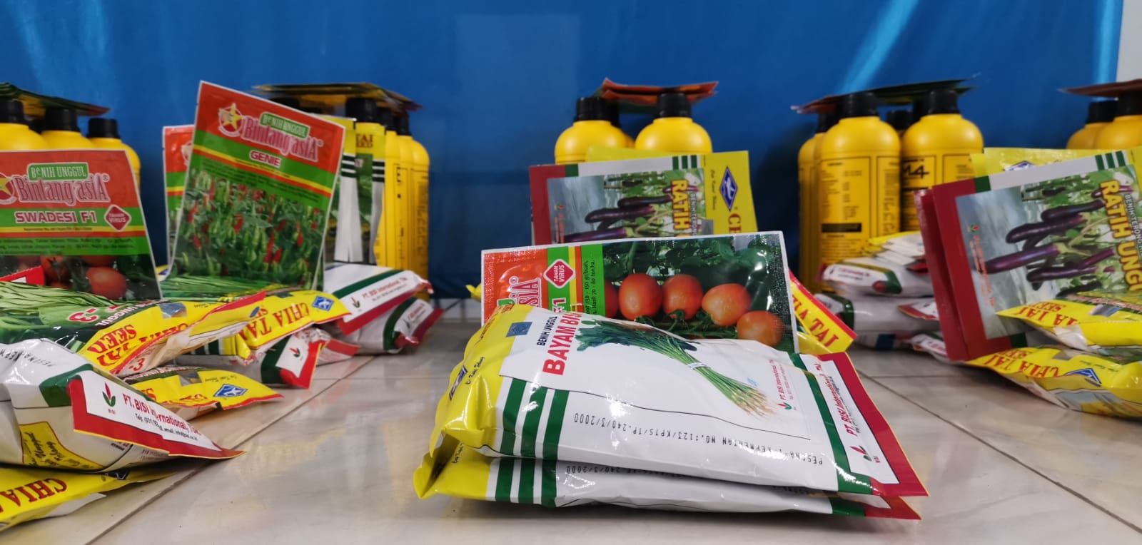 Pemulihan Ekonomi di Masa Pandemi, Dinas Pertanian Bagikan Bibit untuk Masyarakat