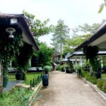 Wah, Asyiknya Minum Kopi Toraja di Perkebunan, Keren Banget