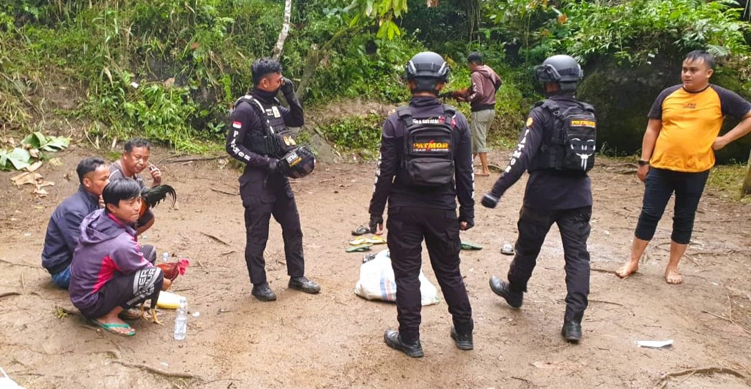 Kurungan Penjara Menanti Para Pelaku Judi Sabung Ayam di Tana Toraja
