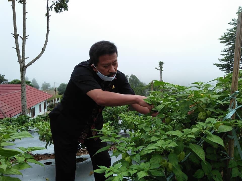 Jadi Korban Penipuan, Kadis Pertanian Toraja Utara Lapor Polisi