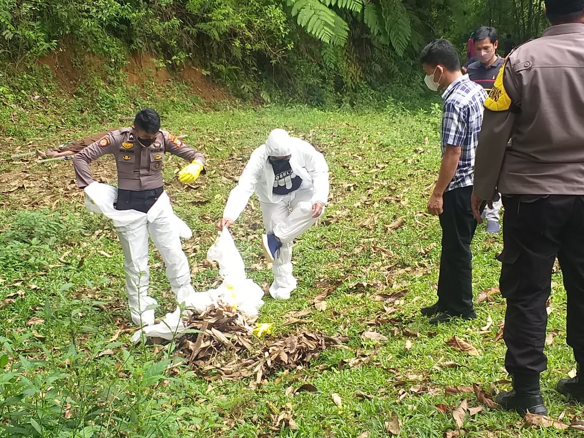Seorang Lansia di Lembang Nonongan ditemukan Tak Bernyawa, Leher Terjerat di Pohon Kopi