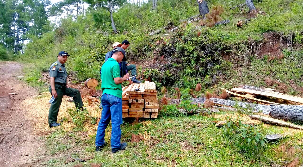 Kasasi KLKH Dikabulkan MA, Hutan Lindung Latimojong Sah Kawasan Hutan