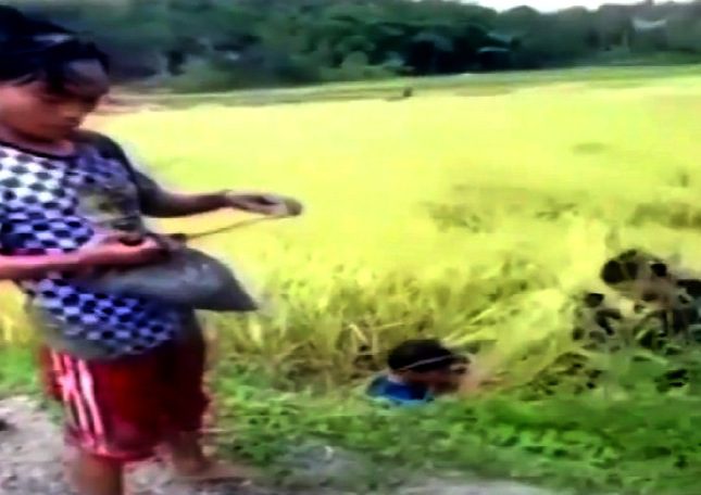 Ugal Ugalan Naik Motor, Tiga Pemuda Ini Nyemplung ke Sawah 2 Ugal Ugalan Naik Motor, Tiga Pemuda Ini Nyemplung ke Sawah