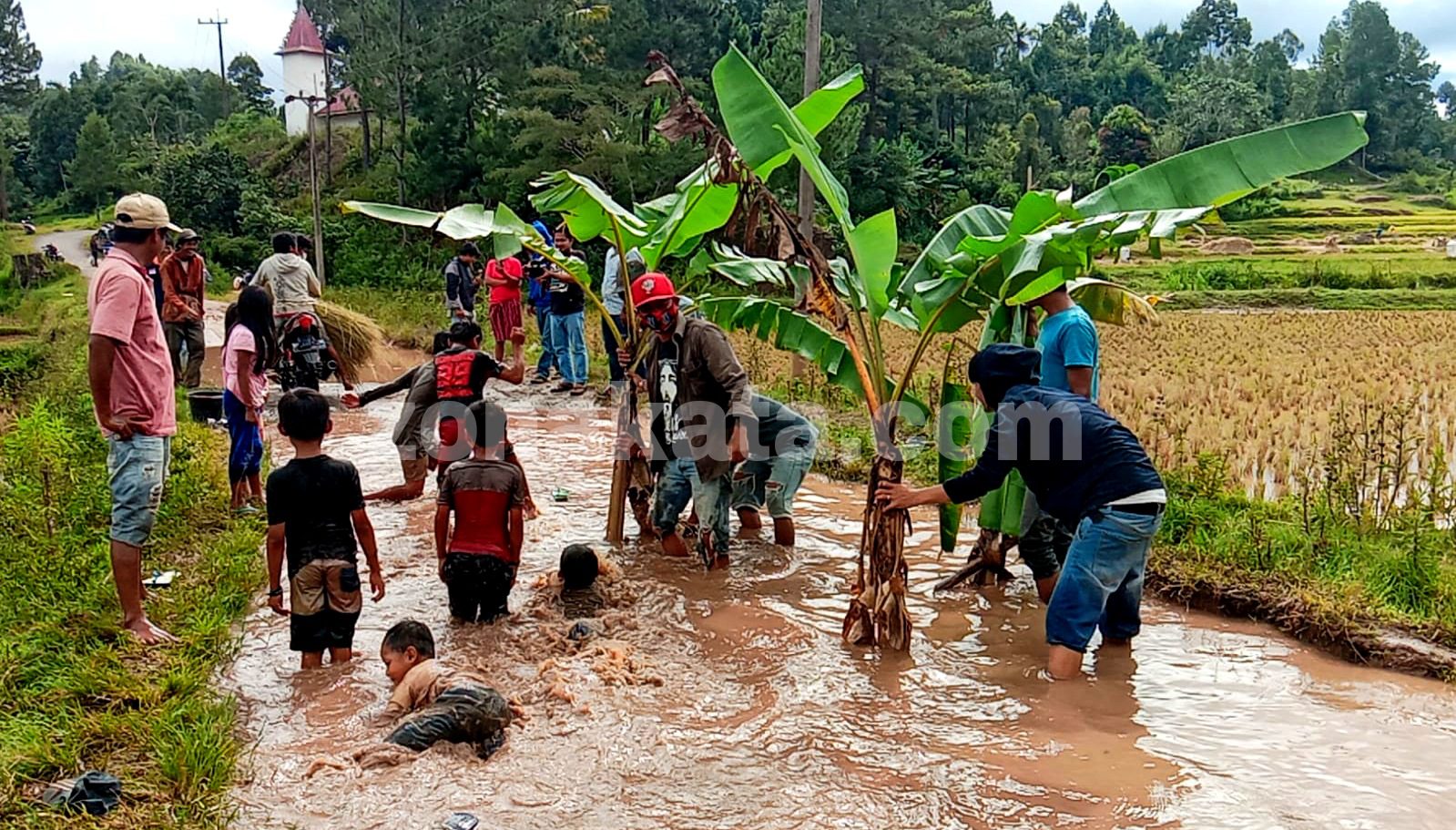 Protes Jalan Rusak, Warga Batualu Selatan Tanam Pohon Pisang dan Tebar Ikan Lele 2 Protes Jalan Rusak, Warga Batualu Selatan Tanam Pohon Pisang dan Tebar Ikan Lele