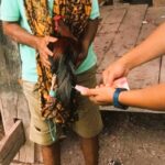 Polres Toraja Utara Amankan Dua Pelaku Judi Sabung Ayam di Nanggala