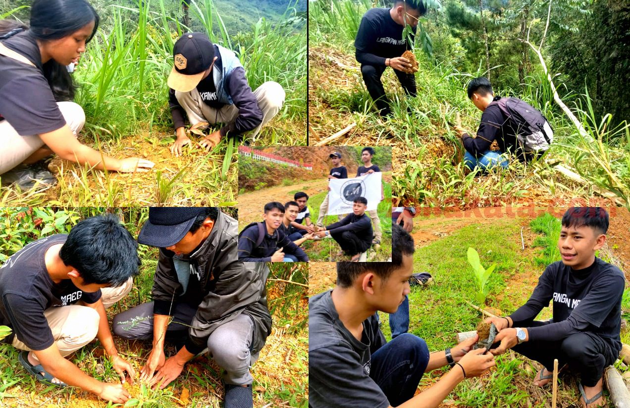 Rusak Akibat Pembabatan Liar, Langkan Maega Turun Tanam Bibit di Sa’dan