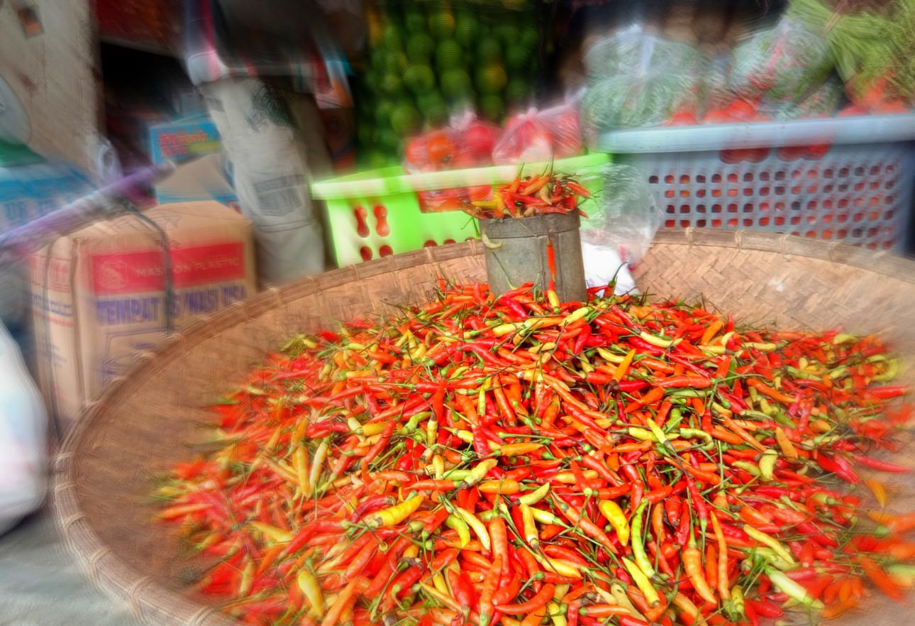 Harga Cabe Rawit di Pasar Sentral Makale Naik, Kini Rp60 Ribu per Kilo
