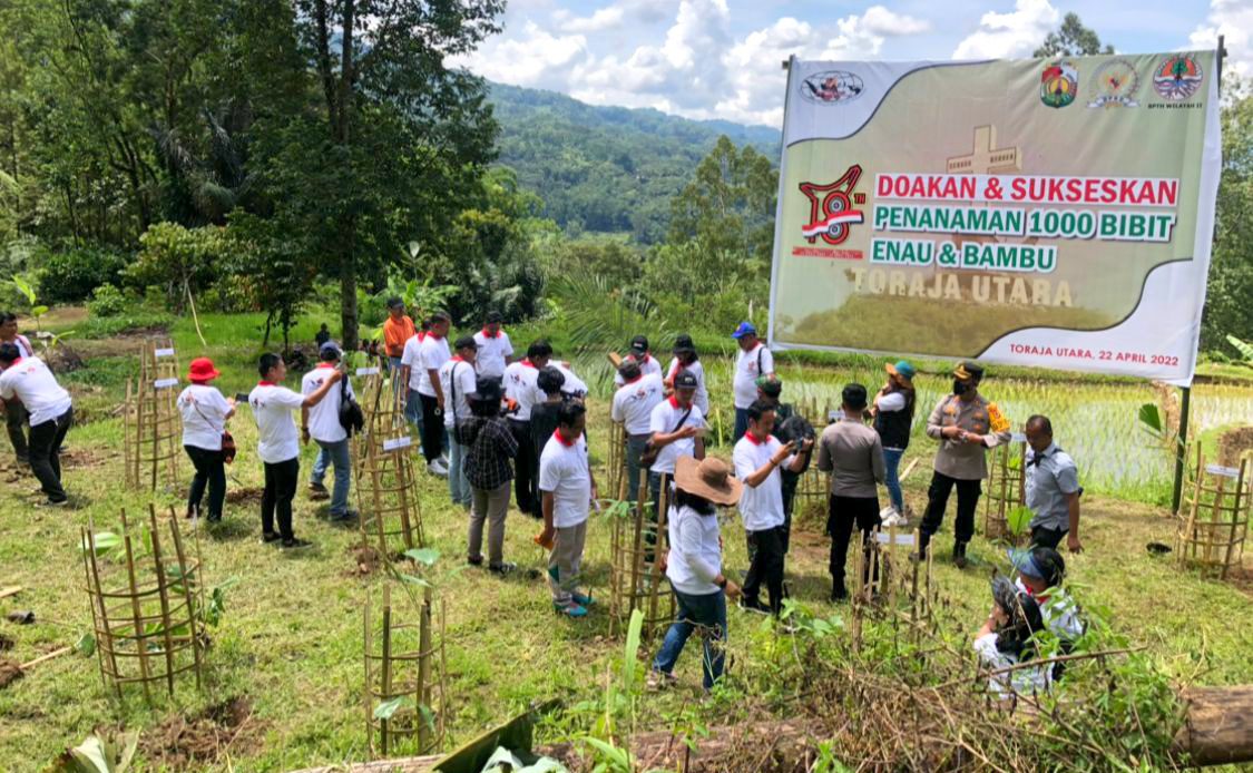 Peringati Hari Bumi, PMTI Tanam 1.000 Bibit Enau dan Bambu di Toraja Utara 2 Peringati Hari Bumi, PMTI Tanam 1.000 Bibit Enau dan Bambu di Toraja Utara