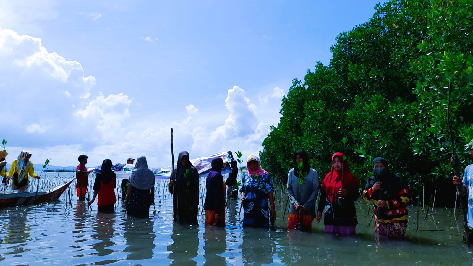 Jaga Ekosistem Lingkungan, Pemprov Sulsel Tanam 39 Ribu Batang Mangrove di Desa Marannu Maros
