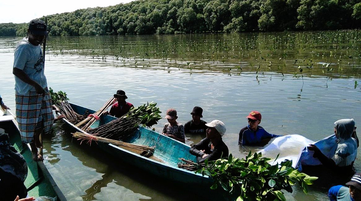Jaga Ekosistem Lingkungan, Pemprov Sulsel Tanam 39 Ribu Batang Mangrove di Desa Marannu Maros