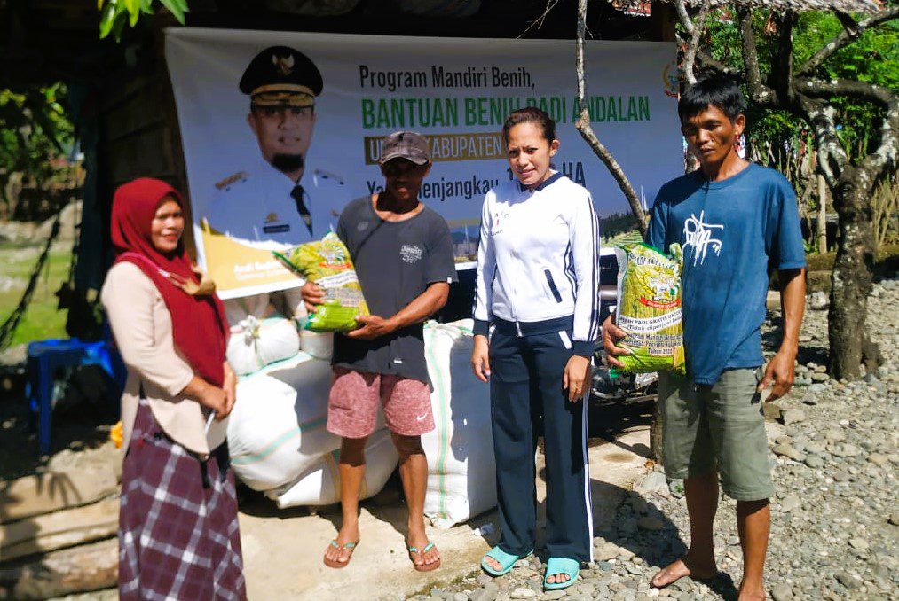 1000 Hektar Lahan di Luwu Dapat Bantuan Benih Andalan ‘Mandiri Benih’