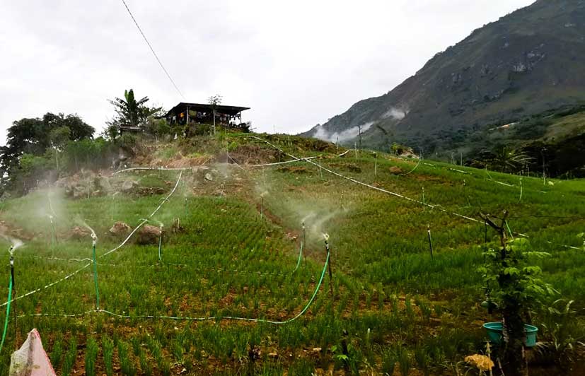 Alih Fungsi Lahan Makin Marak, Bahaya Bencana Mengancam Enrekang Toraja