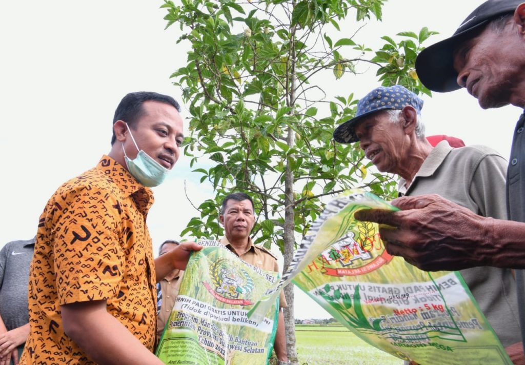 Gubernur Andi Sudirman Tinjau Sawah yang Tanam ‘Mandiri Benih’ di Lahan Pertanian Warga