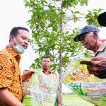 Bantuan Mandiri Benih oleh Gubernur Sulsel Telah Tersalur 1,2 Juta kg benih untuk Lahan 48 ribu Ha